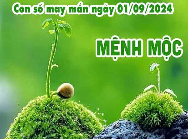 Thông tin con số may mắn người mệnh Mộc ngày 1/9/2024 chủ nhật hôm nay