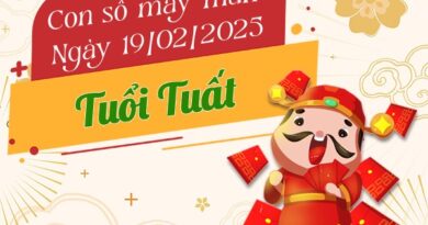 Tử vi tuổi Tuất ngày 19/2/2025 đón may mắn bùng nổ