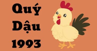 quý dậu
