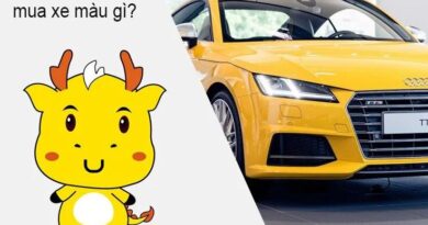 Tuổi Bính Thìn 1976 hợp xe màu gì?