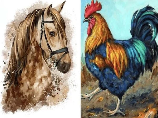 Tuổi Dậu và tuổi Ngọ có hợp nhau không về công việc