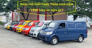 Người sinh năm 1980 hợp màu xe gì?
