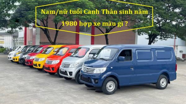 Người sinh năm 1980 hợp màu xe gì?