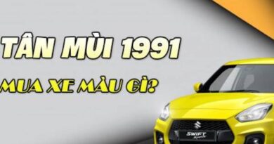 Nam, nữ tuổi Tân Mùi 1991 hợp xe màu gì?