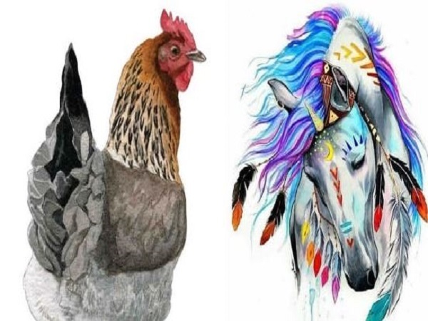 Thông tin về tuổi Dậu và tuổi Ngọ
