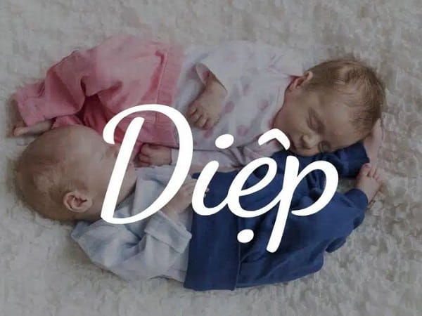 Nguồn gốc tên Diệp