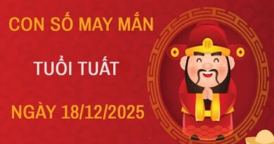 Khám phá con số may mắn tài lộc tuổi Tuất ngày 29/10/2025