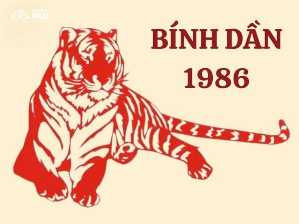 Phân tích ngũ hành tuổi Bính Dần ngày 28/2