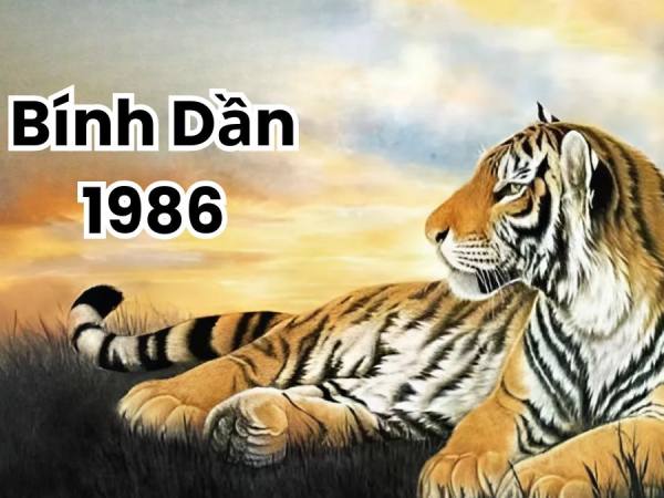 Tổng quan tử vi tuổi Bính Dần ngày 28/2 Thứ 7