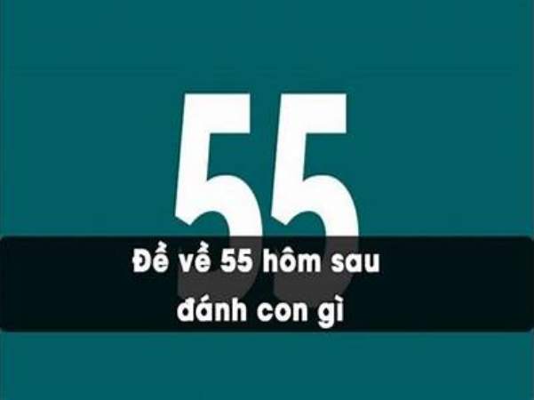 Kết hợp các phương pháp để xác định đề về 55 mai ra con gì